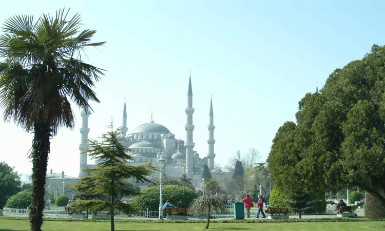 İstanbul Daily City Tours Hakkında