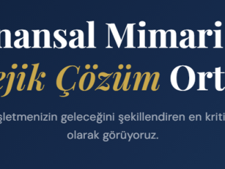 İstanbul Eczane Muhasebecisi