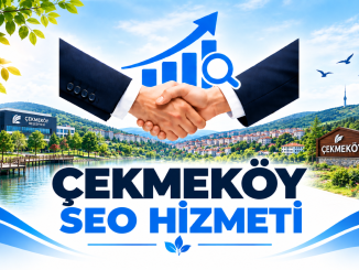 Çekmeköy Seo Hizmeti