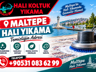Maltepe Halı Yıkama