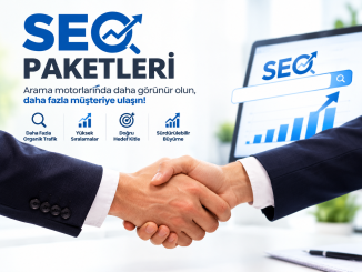 Seo Paketleri