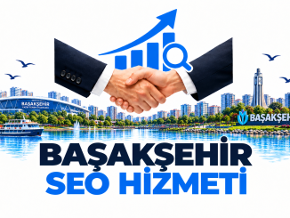 Başakşehir Seo Hizmeti