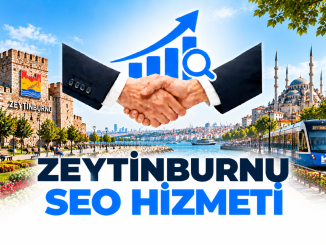 Zeytinnburnu Seo Hizmeti